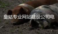 皇姑专业网站建设公司电话_(皇姑普工招聘皇姑技工招聘皇姑工人招聘网)