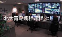 北大青鸟编程课程_(北大青鸟学编程有用吗)