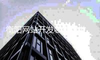 衡阳网站开发哪里好做_(衡阳网站开发哪里好做一点) 